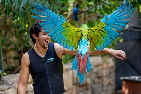 鳥羽 ホテル 子連れ - 家族旅行の新たな発見